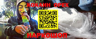 крисы Дубна