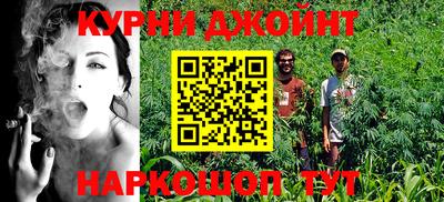 крисы Дубна