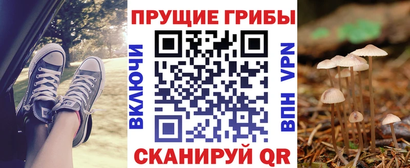 Галлюциногенные грибы Psilocybe наркошоп Кунгур