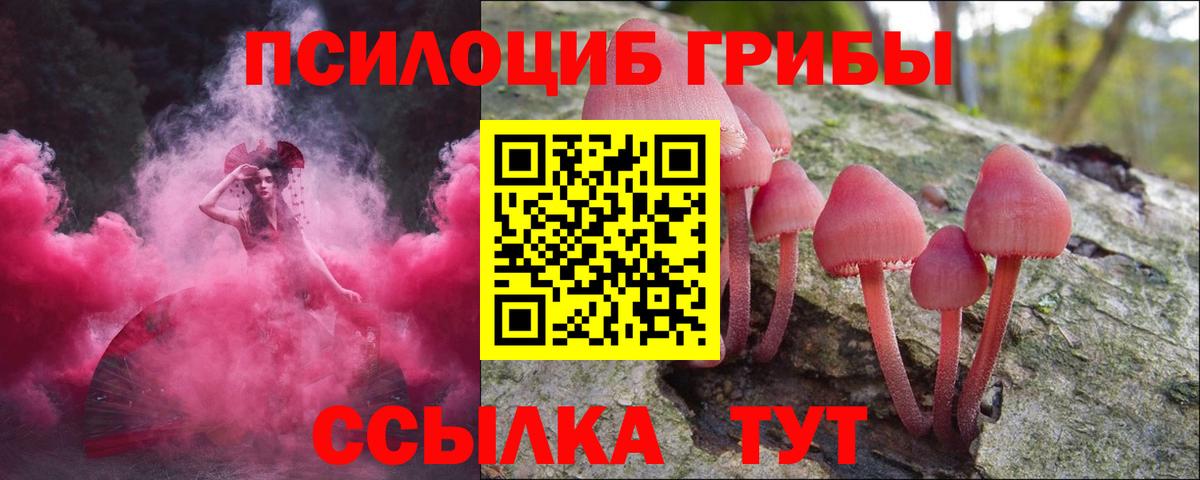 как найти закладки  Вход с VPN  Кунгур  Галлюциногенные грибы Magic Shrooms  Галлюциногенные грибы ЛСД 